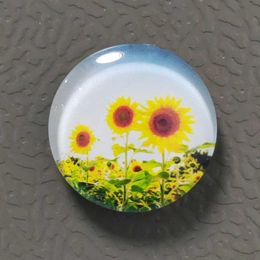 3 -stcsfridge magneten 30 mm bloemglas koelkast manget home decor zonnebloem rose tulpen daisy stickers bericht notitie foto houder