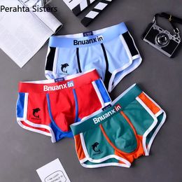 3PCSLOT MEN PAUTES Coton sous-vêtements Boxers Briefes pour hommes Fashion Dolphin Boxershorts Tendances Jeunes Personnalité Sous -fants Homme 240412