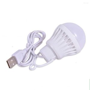 3W/5W/7W LED -lamp 5V camping voor tentuitrusting Portable Lantern Lights USB Power Lamp