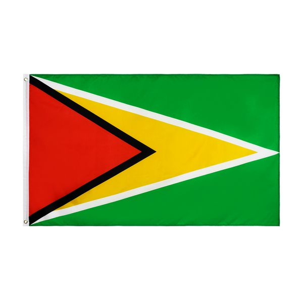 Bannière en Polyester, drapeau National guyanais, 3x5 pieds, 90x150cm, pour décoration intérieure et extérieure, vente en gros directe en usine