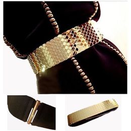 4.5 cm de large élastique noir ceinture or métal poisson peau gardien marque ceinture pour femmes Cinto Feminino S/M/L bg-013 240315