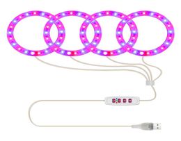 4 anelli di angelo LED coltiva la luce lampada per piante a spettro completo per piante grasse da semenzale da interni e fioritura luce solare rosa rosso blu7125711