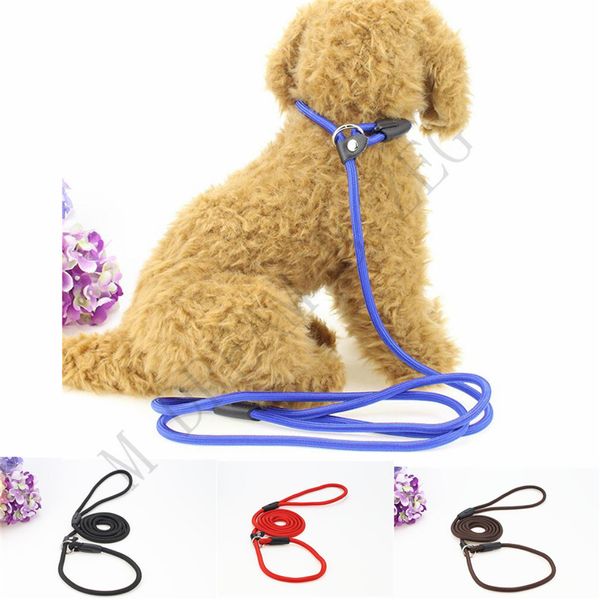4 couleurs Pet Dog Nylon Rope Training Lash Slip Slip Lead Strap Réglable Traction Collier Pet Animaux Corde 0,6 * 130 cm