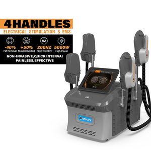 Nouvellement EMS Professional EMS Minceur Emslim Machine à vendre Neo RF Équipement de renforcement musculaire Construire un équipement de combustion des graisses musculaires Utilisation en salon