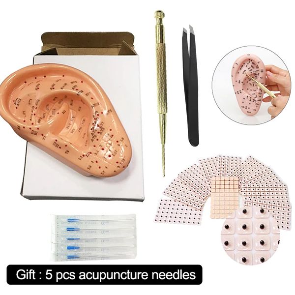 Juego de puntos de acupuntura para oreja 4 en 1, modelo de prensa de oreja, conjunto de sonda para oreja de semilla, modelo de puntos de acupuntura auricular para oreja médica humana de 13cm con inglés