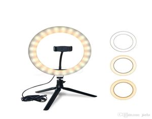 4 en 1 LED LED LED SELIE Trépied 16cm 20cm POGRAMENT Studio Vidéo avec trépied Plug USB Streaming Ronte de sonnerie USB PLU7525263