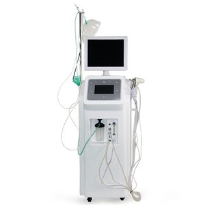 Inhalateur d'oxygène et d'hydrogène multifonction 4 en 1, Machine faciale pour l'inhalation d'oxy-hydrogène, pour le Peeling de la peau