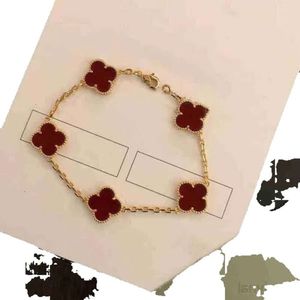 Bracelets à breloques trèfle à 4 feuilles pour femmes, bijoux en chaîne en nacre et coquillage d'agate dorée