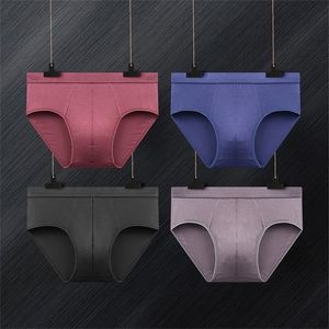 4 pc's veel ademende modale mannen ondergoed nieuwe briefs mannen bodysuit mannelijk comfortabele vaste onderbroek heren briefs lj201110