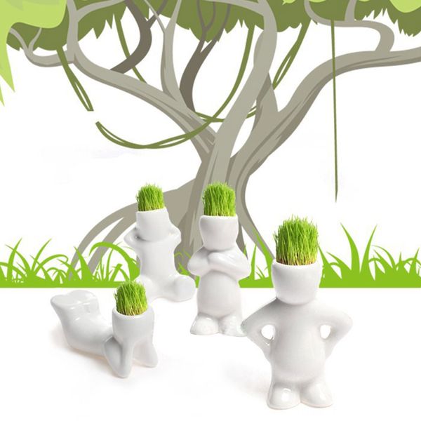 4 forma elige bricolaje mini novedoso bonsai césped muñeca cabello blanco hombre de la planta jardín de bonsai césped muñeca planta jardín minero minero