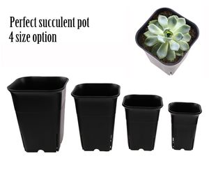 Pot de fleur en plastique de pépinière carrée de 4 tailles en option