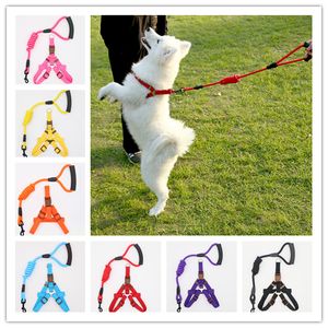 Collier de laisse d'entraînement pour animaux de compagnie, 4 tailles, pour chats et chiens, avec harnais, corde de Traction Durable pour animaux de compagnie, S/M/L/XL