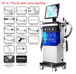 14 dans 1 Machine de dermabrasion en eau du visage Perfusion d'oxygène et exfoliation douce Soins de la peau Anti-vie