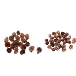 40 stuks natuurlijke echte gedroogde dennenappels pinecone voor kom decoratie kerst ornamenten party decor 0.98 x 1,18 inch