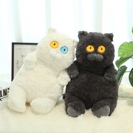 40 cm kawaii grote ogen blauw kat pluche speelgoed gevuld schattig wit gele katten pop dieren kussen zachte cartoon kussen kussen verjaardag cadeau