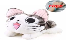 40 cm knuffels Chi Cat gevuld en zacht dierenpoppen Cadeau voor kinderen Kawaii 20 cm Chi039s Kat speelgoed Chi039s Sweet Home Anime Lo7384907