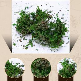 40g lot de fleurs artificielles mousse simulation plante Turf décoration arrangement de fleurs décoration matériau bricolage mousse en pot 2585