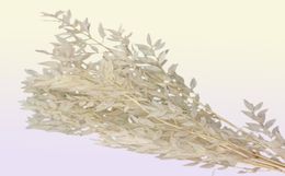 40Gramlot Natrale gedroogde bloem bamboe blad diy materiaal 2012223163015