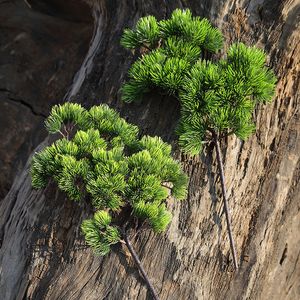 Couronnes de fleurs décoratives 42CM branche de pin en plastique plantes vertes artificielles fausses branches de pin pour la maison bureau Deor plante décorative