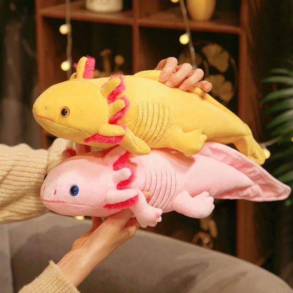 45-80 cm Kawaii coloré t peluche peluche mignon Axolotl salamandre floue peluche poisson apaisant long oreiller coussin enfants cadeau 240130