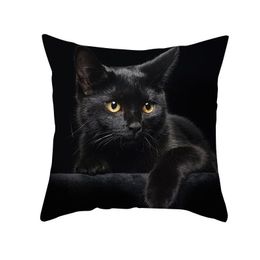 45 x45 cm Europees luxe fluwelen kussenstoel van bankdeksel zwarte kat wit afdrukken voor huizendecoratie vierkant kussen 16 kleuren