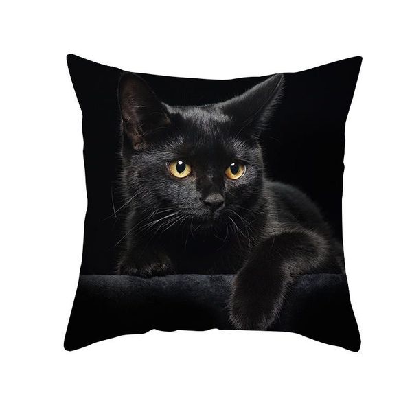 45 x 45 cm chaise de coussin de velours de luxe européen de housse de canapé impression blanche de chat noir pour la décoration de la maison oreiller carré 16 couleurs