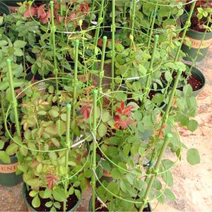 45 cm / 60 cm d'escalade Rack de vigne plante Plante de support en casserole Plastique en acier enveloppe Vegetables en treillis décoratifs 1pc