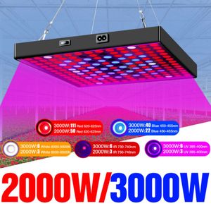 2000W/3000W LED élèvent le panneau de lumières interrupteur marche/arrêt 660nm thérapie par la lumière rouge 850nm proche infrarouge pour le soulagement de la peau et de la douleur lampes de culture