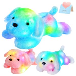 46 cm LED Light Dog Dol Dold Toys Pillow Pillow Animal Glow Blue Dog Plux Toy Lunch Break Grow Cadeaux pour enfants Girls Valentin 240507