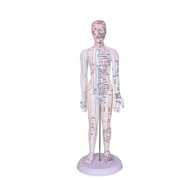 Maniquí de costura femenino de 48cm, cuerpo de punto de acupuntura con letras para acupuntura, masaje de investigación médica, modelo de enseñanza de reflejos C518