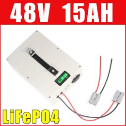 48V 15AH LiFePO4 batterie 48V 1000W vélo électrique batterie Lithium-ion boîtier étanche écran LCD