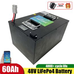 Batería de litio LiFepo4 de 48V 60Ah con BMS para autocaravana, coche eléctrico, energía Solar + cargador de 10A