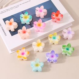 4 CM Snoep Gradiënt Bloem Hawaiiaanse Haarklauw Clips Kleine Clips voor Dik Haar Sterke Hold Antislip Haarclips voor Vrouwen Leuke Haaraccessoires Clips 2923