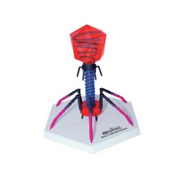 4D Plantencelintelligentie Assembleren speelgoed Human Organ Anatomy Model Medical Teach Diy Popular Science Appliances