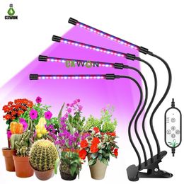 4 têtes LED élèvent la lumière minuterie améliorée lumières de plantes à spectre complet 4/8/12H synchronisation 5 niveaux à intensité variable PhytoLamp pour la maison intérieure jardin hydroponique succulente