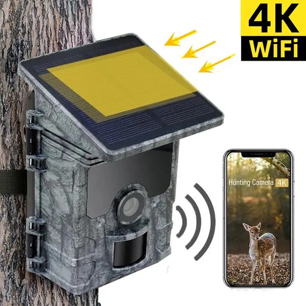 4K HD Caza Trail Trap Cámara Visión nocturna WiFi Panel solar Video alimentado Impermeable IP66 Cámara de vida silvestre Activada por movimiento 240126