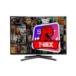 4K UHD T-REX 1 3 6 6 Meses Enlace para Android TV Box Media Player Smart TV PC
