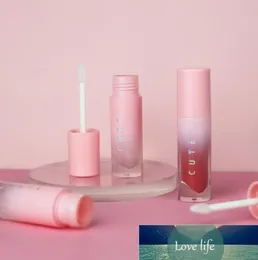 4 ml vide baume à lèvres brillant Tube conteneur rose couleur soin des lèvres bouteille brillant à lèvres conteneur vide cosmétique emballage en gros