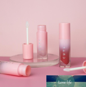 4 ml vide baume à lèvres brillant Tube conteneur rose couleur soin des lèvres bouteille brillant à lèvres conteneur vide cosmétique emballage en gros