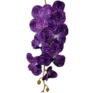 2P Kunstmatige Goede Kwaliteit Latex Vanda Orchidee Bloemen 9 Hoofden Real Touch Azië Phalaenopsis voor Home Floral Decoration Y0104