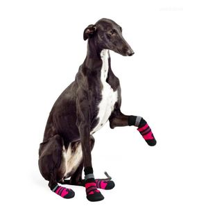 4 pièces bleu rose imperméable hiver chien chaussures anti-dérapant bottes de neige protecteur de patte chaud réfléchissant pour chiens de taille moyenne Labrador H2264