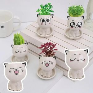4 piezas plantas de cerámica maceta macetas en forma de gato macetas miniaturas lindas plantillas de animales de dibujos animados suculento para paisajismo decora 240419