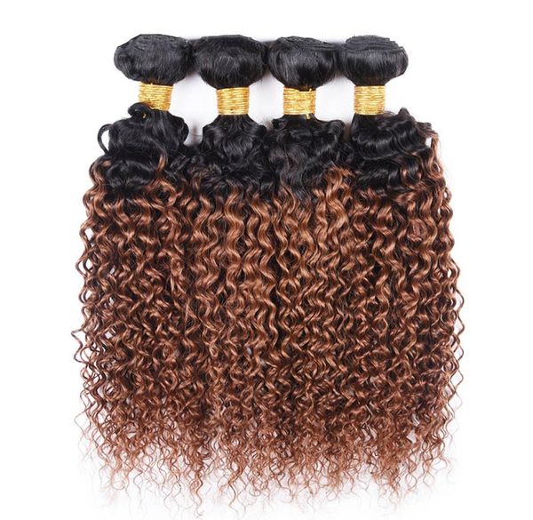 4Pcs Cheveux Humains Ombre Weave Bundles Crépus Bouclés Brésiliens Vierge Cheveux T 1B 30 Deux Tons Couleur Ombre Moyen Auburn Extension de Cheveux4508274