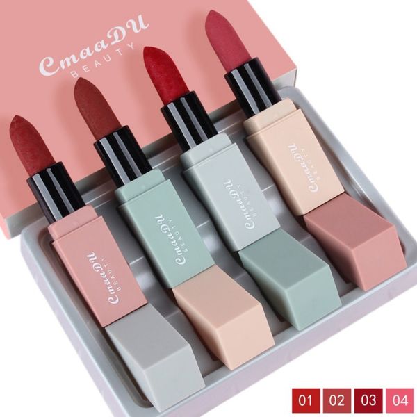 4 pièces/ensemble rouge à lèvres ensemble Sexy liquide brillant à lèvres mat longue durée étanche cosmétique beauté garder 24 heures maquillage brillant à lèvres