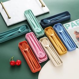 4pcs/set de vajilla cuchara de cuchara palillo de cuchillo con caja para niños viajes para adultos portátiles de paja de trigo portátil