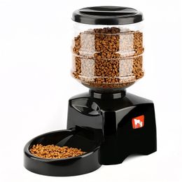 5.5L Automatische PET-feeder met spraakbericht Recording en LCD-scherm Grote Smart Dogs Cats Food Bowl Dispenser Black Dropship Y200922