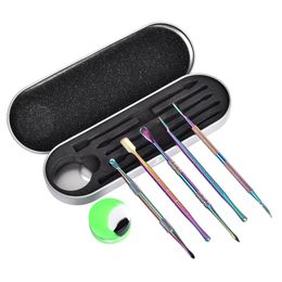 5/6 pièces Accessoires pour fumer de la cire Sculpture en acier inoxydable Dab Tool Set Récipient en silicone et étui de protection en métal inclus pour herbe sèche