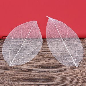 5-6cm / 24pcs, Nature Real Touch Leaf Petales, feuille de fleur séchée pressée pour carte-cadeau de signet d'artisanat de fête bricolage, décoration de boîte cadeau