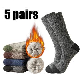 5 paires de chaussettes d'hiver pour hommes, chaussettes thermiques épaisses, respirantes, bottes de sport de plein air, de haute qualité, confortables, Sokken 240110