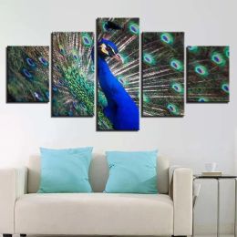 5 panneau Amazing Peacock Dance Wall Picture toile peinture des affiches de paon bleu et imprimés pour le salon décoration intérieure sans cadre